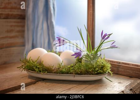 Weihnachtsdekoration für Ostern mit weißen Eiern, Krokusblumen und Moos auf einem Teller auf einem rustikalen Holztisch am Fenster angeordnet, Kopierraum, selecte Stockfoto