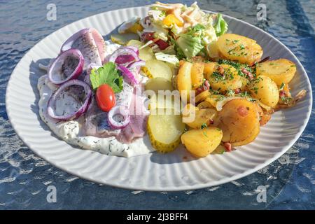 Matjes oder Soused Hering in Apfelsahnesauce mit Zwiebeln, Bratkartoffeln, Gurken und Salat auf einem Teller in einem Restaurant im Freien an einem sonnigen Sommertag Stockfoto