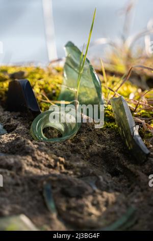 Eingebettetes gebrochenes Glas, Wandplatte, Sicherheitsmaßnahme, illegal, gefährlich, Nicht ermutigt, altmodisch, Glasflaschen, eingefügter nasser Beton, scharf, Alt Stockfoto