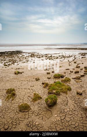 Gerissener Schlamm an der Severn-Mündung. Stockfoto