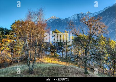 Langsam neigt sich der Tag in den Tiroler Bergen dem Ende zu. Die Stille kehrt zurück und die Bäume leuchten im warmen Licht der Abendsonne. Stockfoto