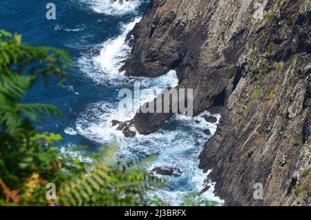 Wanderweg Vereda da Boca do Risco an der Nordostküste Madeiras Stockfoto