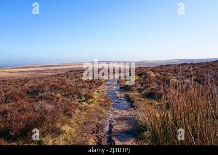 Das Wasser aus den sanft abfallenden Moorlandschaften fließt auf einem schmalen kurvigen Pfad in Derbyshire. Stockfoto