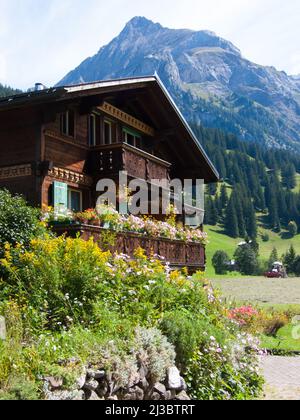 Eine vertikale Aufnahme eines kleinen Holzhauses, das mit Blumentöpfen bedeckt ist Stockfoto