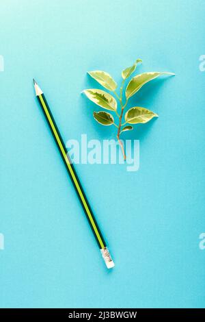 Einfaches Konzept-Layout in grünen und blauen Farben. Ein Bleistift und ein Baumzweig auf blauem Hintergrund. Stockfoto