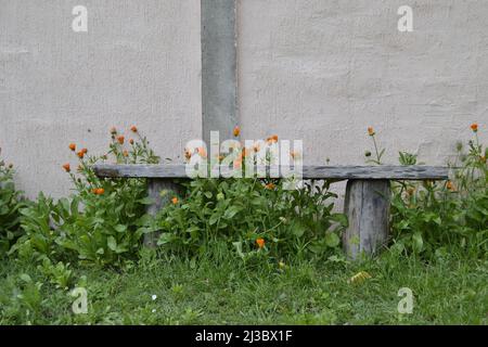 Eine alte, mit Blumen bedeckte Holzbank, vor der bröckelnden Wand des Hauses im Hintergrund. Stockfoto