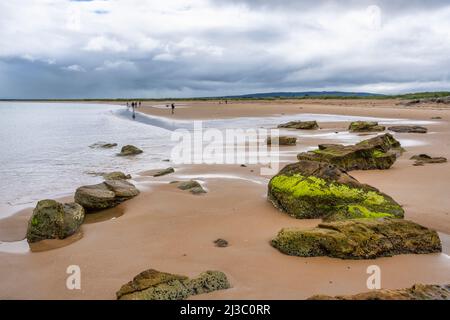 Felsen, die von der sich zurückziehenden Flut am Dornoch-Strand in Sutherland, Highland, Schottland, Großbritannien, freigelegt wurden Stockfoto