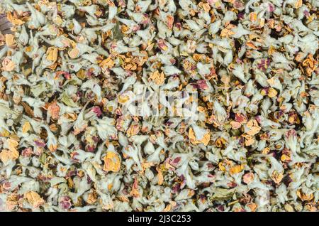 Der Blumen-Tee. Getrocknet von Apfelblüten strukturiert. Stockfoto