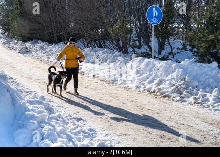 Rovaniemi, Finnland - 17.. März 2022: Eine junge Frau, die im Morgengrauen ihren Hund auf einem verschneiten Pfad entlang läuft. Stockfoto