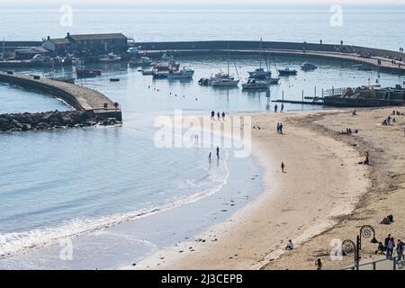 Frühlingssonne rund um den alten Steinpier, bekannt als Cobb, bildet den Hafen bei Lyme Regis und am angrenzenden Strand an der Jurassic Coast UK Stockfoto