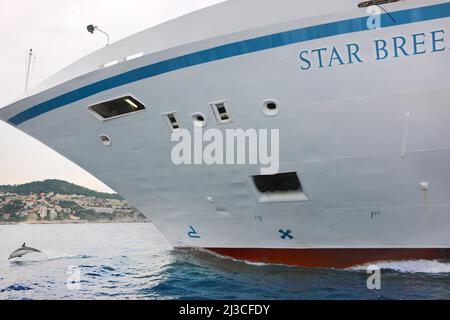 Dolphin surft auf der Bugwelle des Kreuzfahrtschiffs Star Breeze (ehemals Seabourn Spirit) in der Nähe von Monaco Monte Carlo , Stockfoto