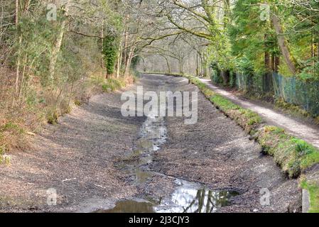 Kein Wasser im wunderschönen Basingstoke Canal in der Nähe von Deepcut in Surrey Stockfoto