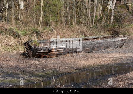 Ein altes verlassene Boot, das deutlich entlang eines entwässerten Abschnitts des wunderschönen Basingstoke Canal in der Nähe von Deepcut in Surrey auftaucht Stockfoto