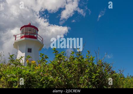 Le Graves Trail, Forillon National Park, Gaspe Peninsula, Kanada. Stockfoto