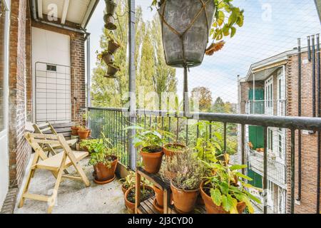 Holzstühle in der Nähe von grünen Topfpflanzen und Metallzaun auf Balkon der Wohnung in der Nähe von Glastüren am Sommertag platziert Stockfoto