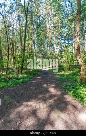 Unterwegs im Powell Butte Nature Park in Portland, Oregon. Stockfoto