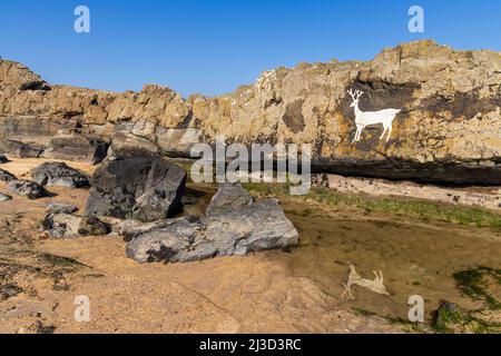 Stag Rock und seine Spiegelung in einem Felsenpool am Bamburgh Beach, Northumberland, England Stockfoto