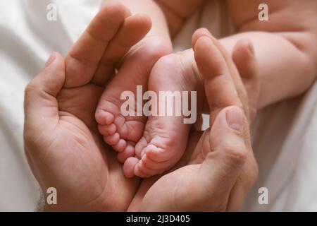 Vater hält Babyfüße in den Händen. Beine Neugeboren in der Hand der männlichen Eltern. Füße kleiner Kinder in der Palme des Vaters. Nahaufnahme. Vatertag Stockfoto