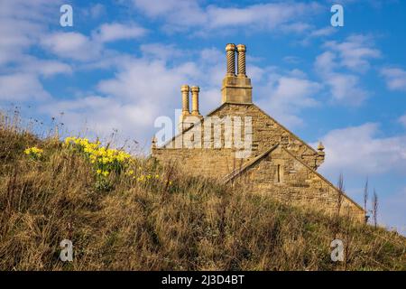 Die Kamine und die Südwand des Howick Bathing House auf dem Northumberland Coast Path im Frühjahr, England Stockfoto