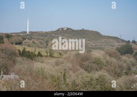 Blick auf zurückgewonnenes Land auf dem Country Park Trail im Wheal Martyn Clay Works Museum, Carthew, St Austell, Cornwall, Großbritannien. Stockfoto