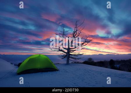 Im Winter tna Park, Sizilien, dämmert auf einem grünen Zelt und einem toten Baum Stockfoto