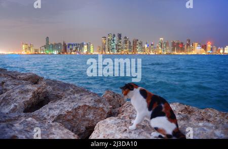 Doha kornisches Panorama am Himmel -Doha Katar Stockfoto