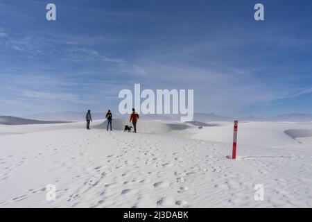 Menschen wandern durch die weißen Gipsdünen im White Sands National Park in New Mexico stehen an einem sonnigen Tag vor einem großen blauen Himmel. Stockfoto