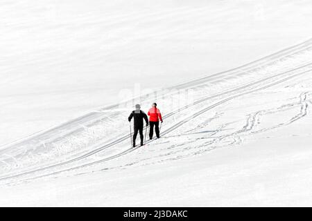 Zwei Langläufer auf der Loipe Stockfoto