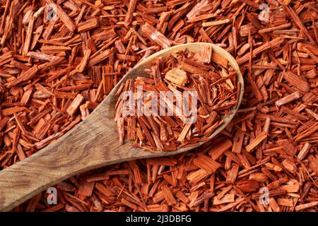 Stücke von rotem Sandelholz auf einem Löffel - Zutat für die Aromatherapie Stockfoto