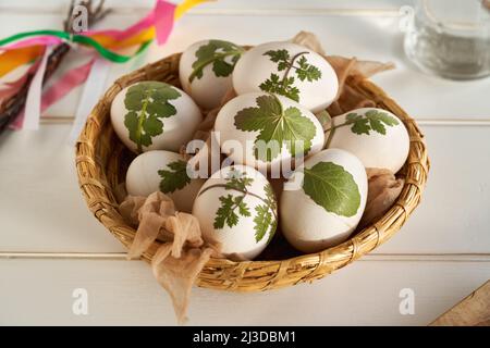 Rohe Ostereier mit Kräutern, die an ihnen befestigt sind, bereit, mit Zwiebelschalen gefärbt zu werden, in einem Korb Stockfoto
