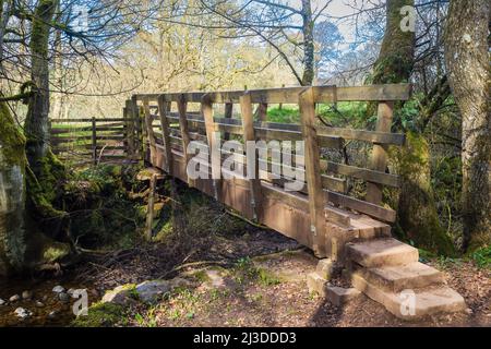 03.04.2022, Kirkby stephen, cumbria, Großbritannien. Fußgängerbrücke über den Fluss Eden in der Nähe von Kirkby stephen in Cumbria Stockfoto