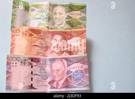 Barbados modernes Geld. Stockfoto