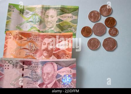 Barbados modernes Geld. Stockfoto