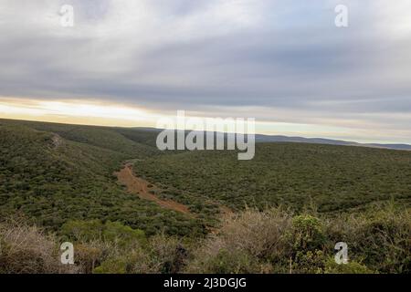 Addo Elephant National Park Landschaft, Südafrika Stockfoto