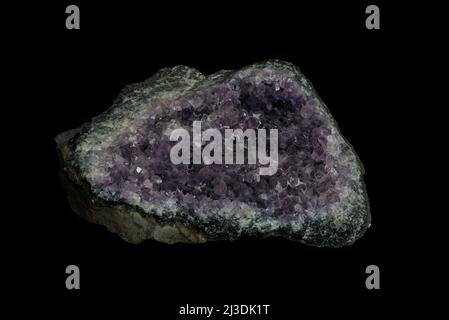 Druse von Amethyst Mineral, einem violetten Quarzstein auf schwarzem Hintergrund. Stockfoto
