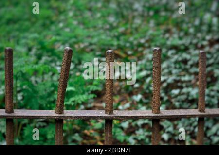 Nahaufnahme des Zauns auf dem grünen, natürlichen Hintergrund-Kopierbereich Stockfoto