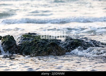 Ocean Rock - Tide kommt und bedeckt ein paar große Felsen in der Gezeitenzone mit schönem blauen Wasser, das durch die kleinen Risse fließt, mit einer leichten Reflexion des farbenfrohen Sonnenuntergangs im Wasser. Hochwertige Fotos Stockfoto