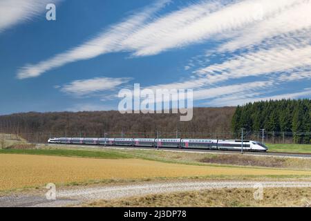 Schnellster TGV-Zug in Nordfrankreich Stockfoto