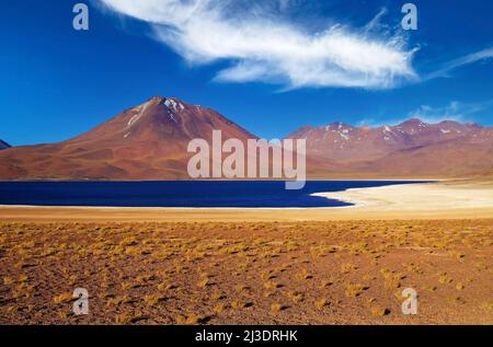 Landschaftlich reizvolle Aussicht auf einsames trockenes, trockenes Tal mit Grasbüscheln, in den anden, altiplanischer, brackiger, tiefblauer See miscanti, Vulkangipfel - Atacama Stockfoto