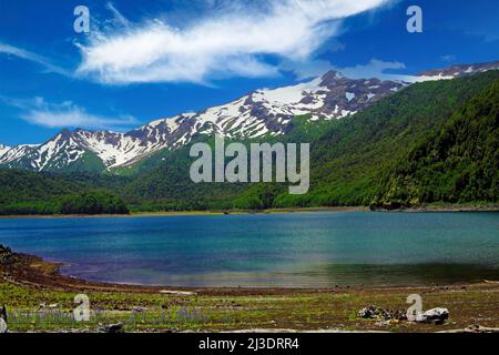 Blick über den isolierten Krater-See auf den teilweise schwarz schneebedeckten Vulkan Llaima im Kontrast zum blauen Himmel - Conguillio NP in Zentralchile; Stockfoto