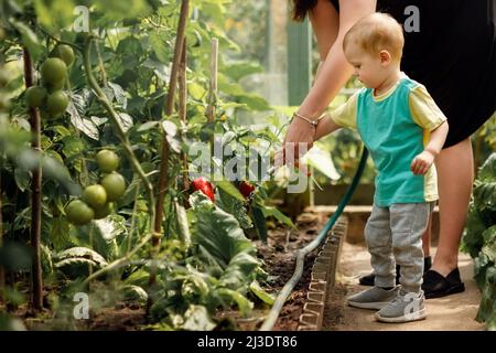 Mutter und ihr süßer Sohn bewässern Pflanzen im Gartengewächshaus an sonnigen Sommertagen. Stockfoto