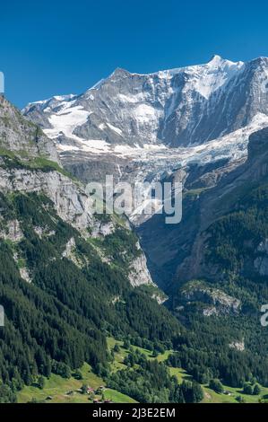 Grindelwald und Umgebung im Sommer Stockfoto