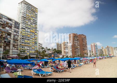 2021.08.18 Benidorm, Spanien Strand in der Nähe von Wohngebäuden mit Liegestühlen. Die Menschen genießen es unter einem Sonnenschirm. Hochwertige Fotos Stockfoto