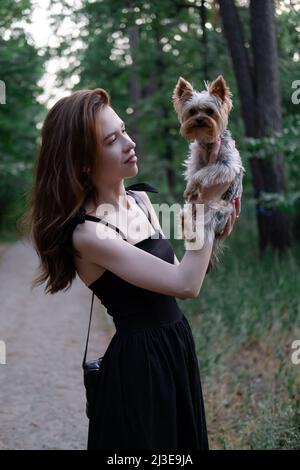 Hübsche Brünette Frau mit kleinen Welpen reinrassigen Hund yorkshire Terrier im Park. Glücklich unbeschwerte Vorstadtleben. Stockfoto