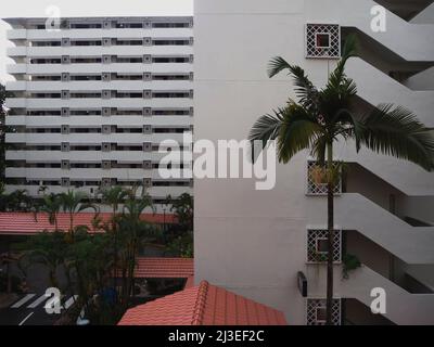 Blick auf eine ausgereifte Wohnanlage in Singapur. Öffentliche Wohnungsbauprojekte in Singapur. Stockfoto