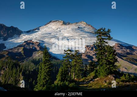 WA21341-00...WASHINGTON - Mount Baker am späten Nachmittag vom Park Butte Trail im Mount Baker National Recreation Area. Stockfoto