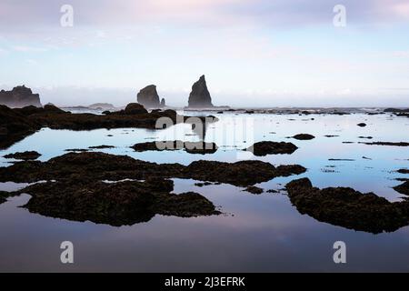 WA21350-00...WASHINGTON - Morgenlicht auf den vorgelagerten Felsen und Seestacks entlang der Wildnisküste des Olympic National Park. Stockfoto