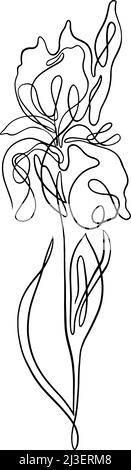 iris One Line Art. Vektorgrafik Stock Vektor