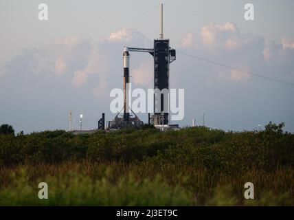 Eine SpaceX Falcon 9-Rakete mit der Crew Dragon-Sonde des Unternehmens wird bei Sonnenaufgang auf der Startrampe des Launch Complex 39A gesehen, da die Vorbereitungen für die Axiom Mission 1 (AX-1) am Donnerstag, den 7. April 2022, im Kennedy Space Center der NASA in Florida fortgesetzt werden. Die AX-1-Mission ist die erste private Astronautenmission zur Internationalen Raumstation. Die AX-1-Besatzungsmitglieder Kommandant Michael López-Alegría aus Spanien und den Vereinigten Staaten, Pilot Larry Connor aus den Vereinigten Staaten, der Missionsspezialist Eytan Stibbe aus Israel und Mark Pathy aus Kanada sollen am 8. April um 11:17 Uhr EDT starten Stockfoto