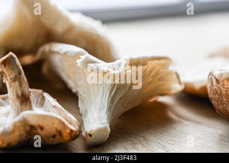 Eine Auswahl an essbaren Wildpilzen, darunter Oyster, King Oyster, Chanterelles und Maitake-Pilze, die reich an Vitamin B sind Stockfoto